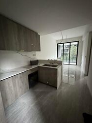 Leedon Green (D10), Condominium #480710181